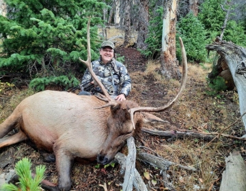 Sns Wyoming Wilderness Elk 2026 22